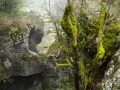 Gorge creusée par le Séran