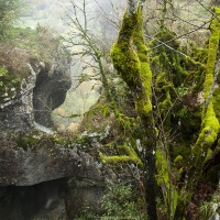 Gorge creusée par le Séran