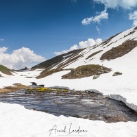 Fonte des neiges au col du Petit Saint Bernard, Savoie