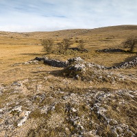 Paysage des Causses