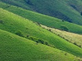 Pays basque: collines verdoyantes