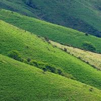 Pays basque: collines verdoyantes
