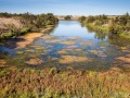 Ile de Noirmoutier: Marais salants