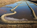 Ile de Noirmoutier: Marais salants