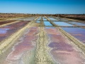 Ile de Noirmoutier: Marais salants