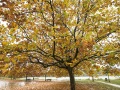 Paysage d