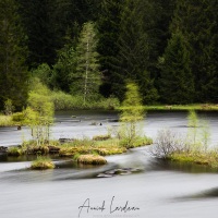 Lac de Lispach