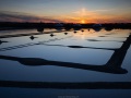 Ile de Noirmoutier: Marais salants au soleil couchant