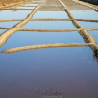 Ile de Noirmoutier: Marais salants