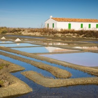 Ile de Noirmoutier: Marais salants