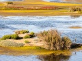 Ile de Ré: marais