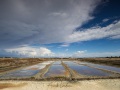 Ile de Ré: marais salants