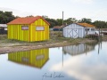 Ile d