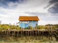 Ile d
