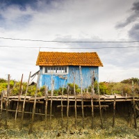 Ile d'Oléron: Cabanes d'ostréiculteurs