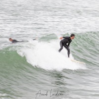 Surfers