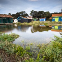 Fort Royer: cabanes d'ostréiculteurs