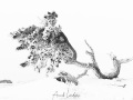 Mont Aigual: vent, neige et givre