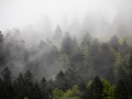 Nuages bas