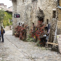 Cité médiévale de Pérouges