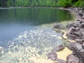Lac des Corbeaux: dépôts de pollen