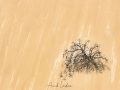Dune du Pilat