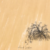 Dune du Pilat