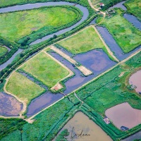 Survol du bassin d'Arcachon en ULM: La réserve ornithologique du Teich