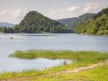 Lac de Kuth-Wildenstein