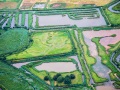 Survol du bassin d'Arcachon en ULM: La réserve ornithologique du Teich
