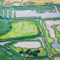 Survol du bassin d'Arcachon en ULM: La réserve ornithologique du Teich