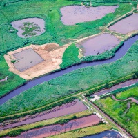 Survol du bassin d'Arcachon en ULM: La réserve ornithologique du Teich