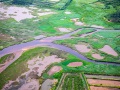 Survol du bassin d'Arcachon en ULM: La réserve ornithologique du Teich