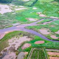 Survol du bassin d'Arcachon en ULM: La réserve ornithologique du Teich