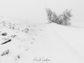 Mont Aigual: vent, neige et givre