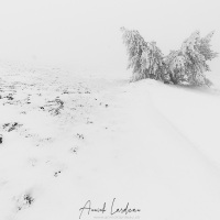 Mont Aigual: vent, neige et givre