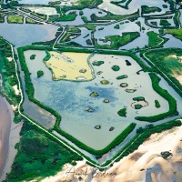 Survol du bassin d'Arcachon en ULM: La réserve ornithologique du Teich