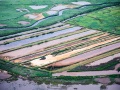 Survol du bassin d'Arcachon en ULM: La réserve ornithologique du Teich