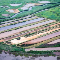 Survol du bassin d'Arcachon en ULM: La réserve ornithologique du Teich