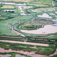 Survol du bassin d'Arcachon en ULM: La réserve ornithologique du Teich