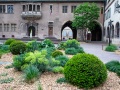 Colmar
