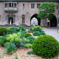 Colmar