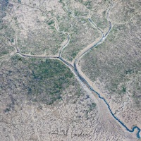 Survol du bassin d'Arcachon en ULM: "arbre" liquide