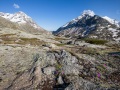 Région col du Mont Cenis, Savoie