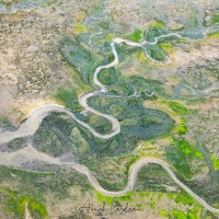 Survol en ULM: marée basse dans le bassin d'Arcachon