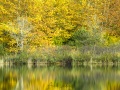 Lac de Virieu