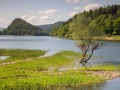 Lac de Kuth-Wildenstein