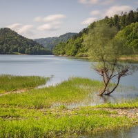 Lac de Kuth-Wildenstein