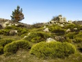 Paysage en Lozère