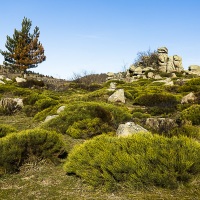 Paysage en Lozère